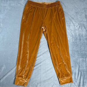 Fabletics Rust Velvet Jogger Pants